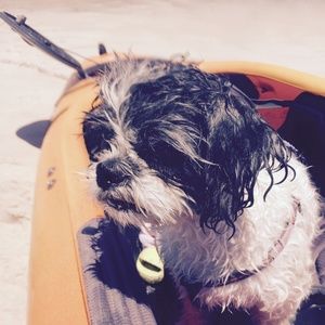 Meet your Posher, Kathleen